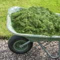 Grass Clippings: Everything You Need to Know