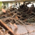 Stumps and Roots: The Complete Guide to Yard Waste and Debris Removal in Orlando, FL