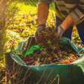 Weeds and Plants: A Guide to Yard Waste and Debris Removal