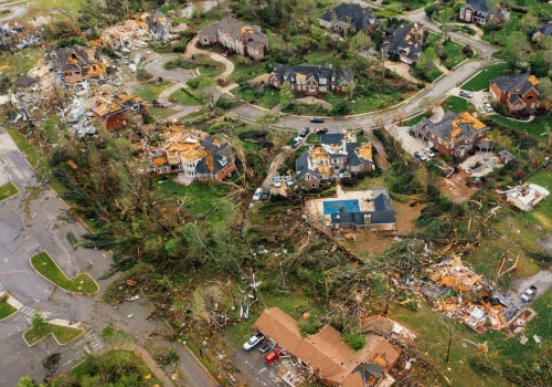 Damage from Wind and Rain: How to Properly Remove Yard Waste and Debris in Orlando, FL