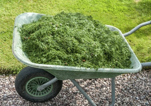 Grass Clippings: Everything You Need to Know