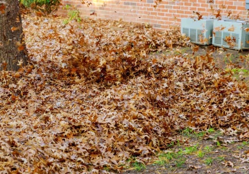 How to Effectively Remove Fallen Leaves in Orlando FL